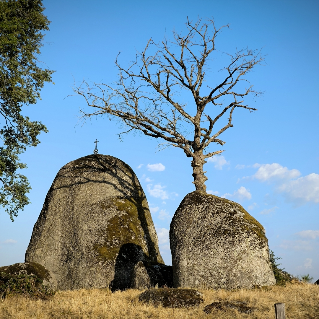 Sur un fond de ciel très bleu avec quelques nuages, un amas rocheux se détache, composé de 2 blocs arrondis vers le haut, côte à côte. Celui de droite est surmonté d'un arbre mort, qui semble pousser à son sommet. Le rocher de gauche est surmonté d'une petite croix. A gauche, un arbre feuillé.  L'herbe est jaune, sèche.